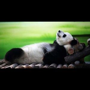 Meet your Posher, Corey